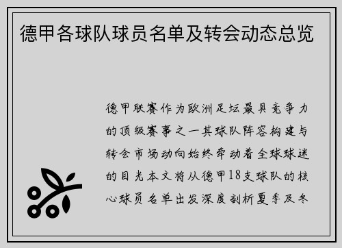 德甲各球队球员名单及转会动态总览