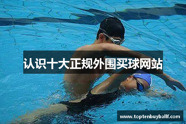 认识十大正规外围买球网站